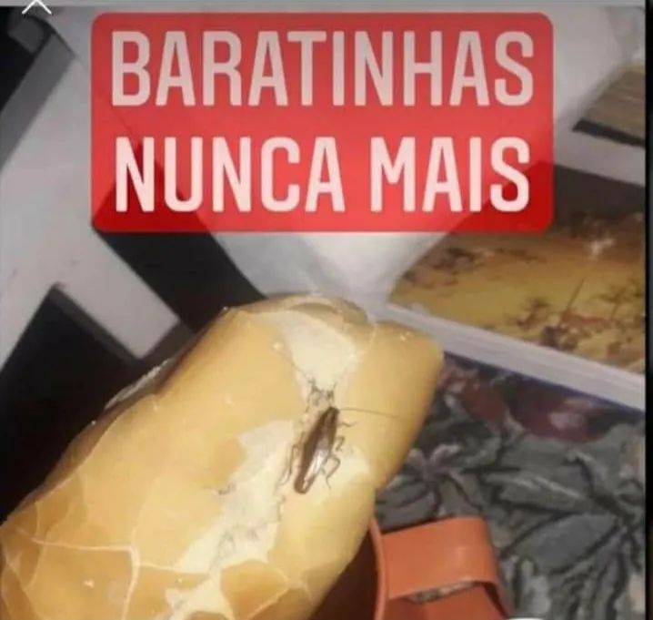 Detetização 