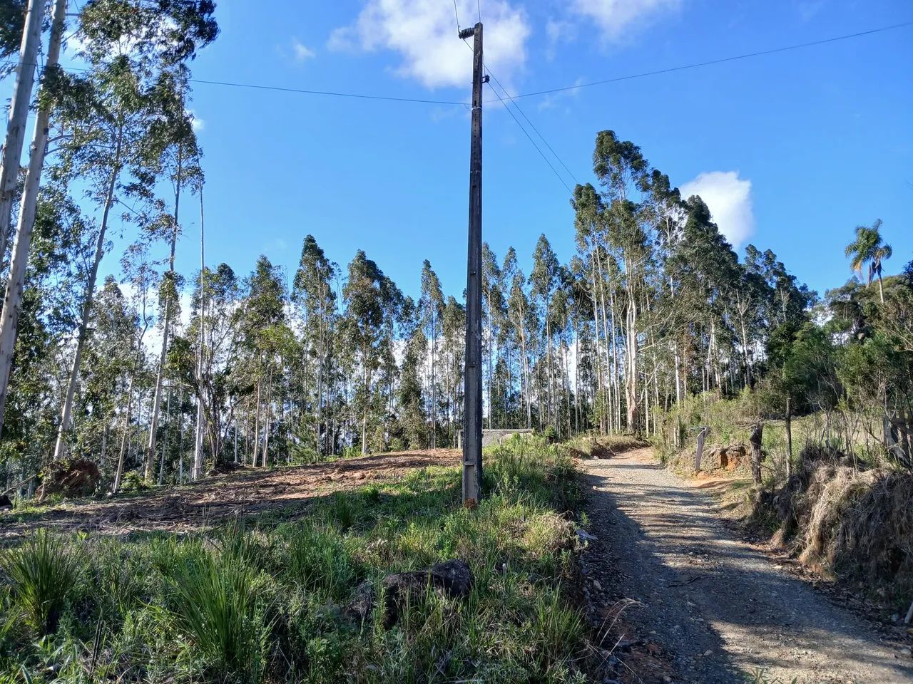 Chácara em Postema Campo Alegre SC - Foto 2