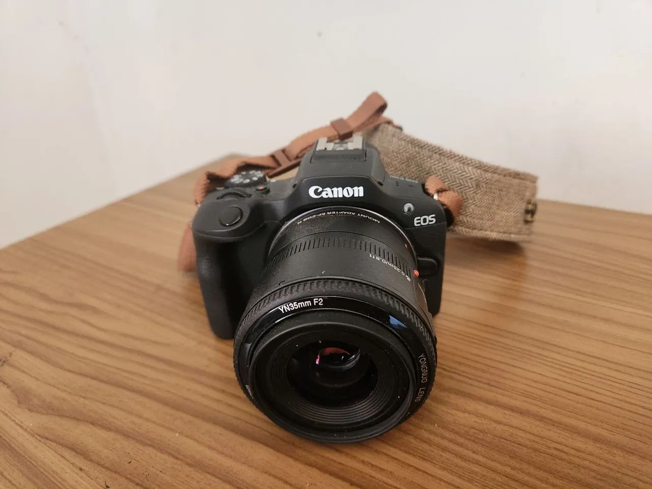 Canon R100