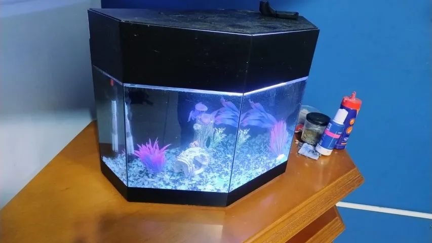 Aquário  - Foto 2