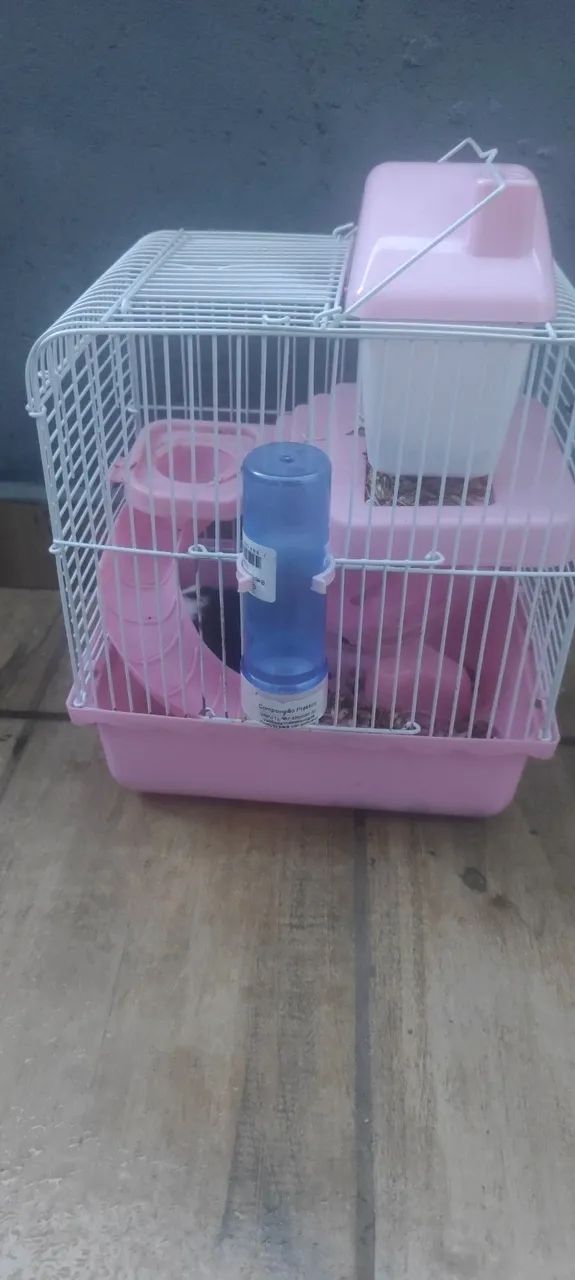 Doando Hamster 