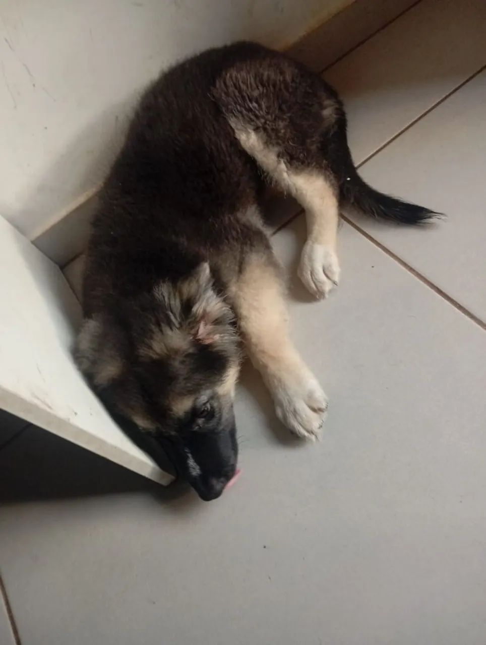 Vendo  - Foto 4