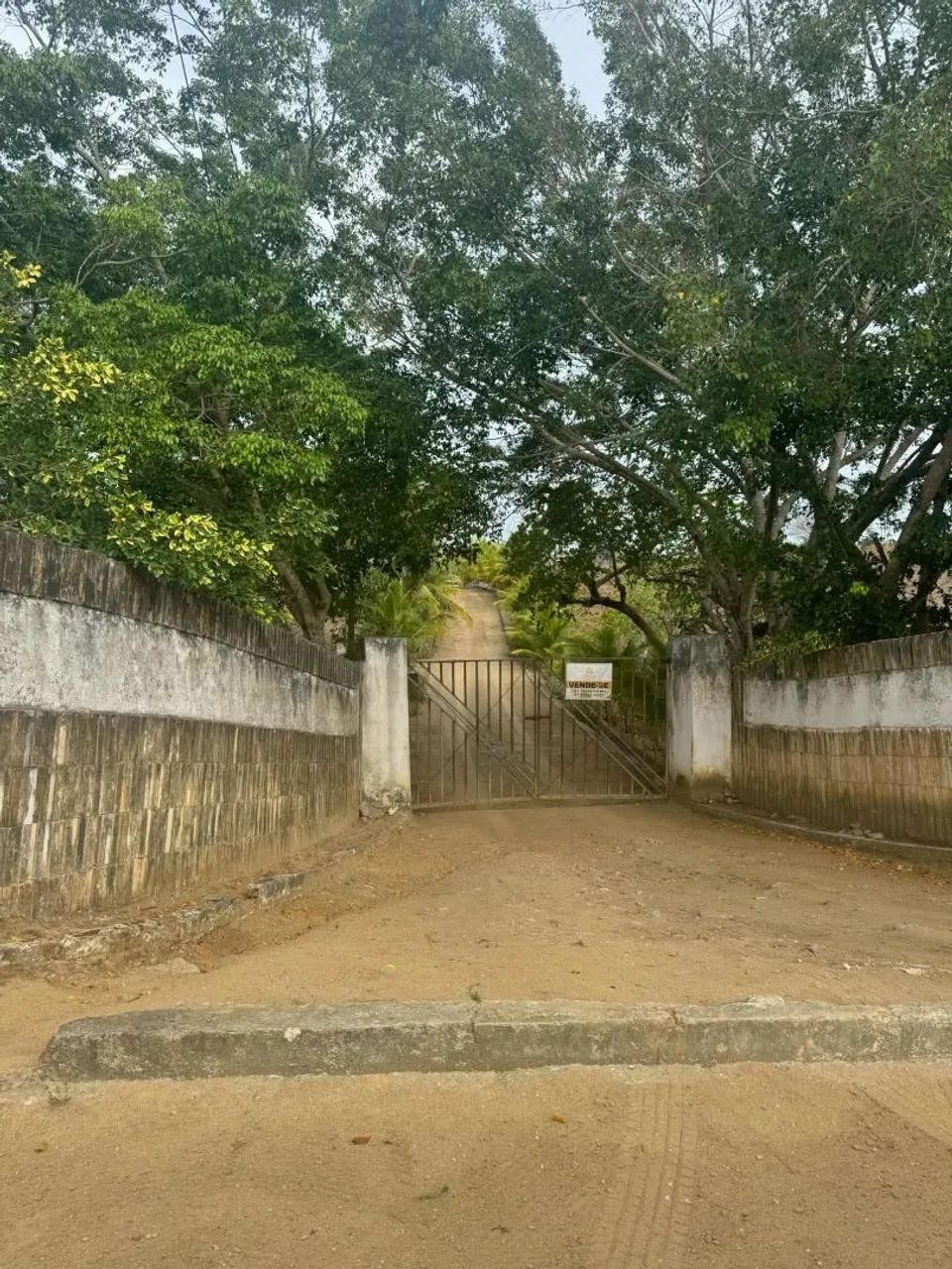 GRANJA A VENDA EM CARPINA  - Foto 5