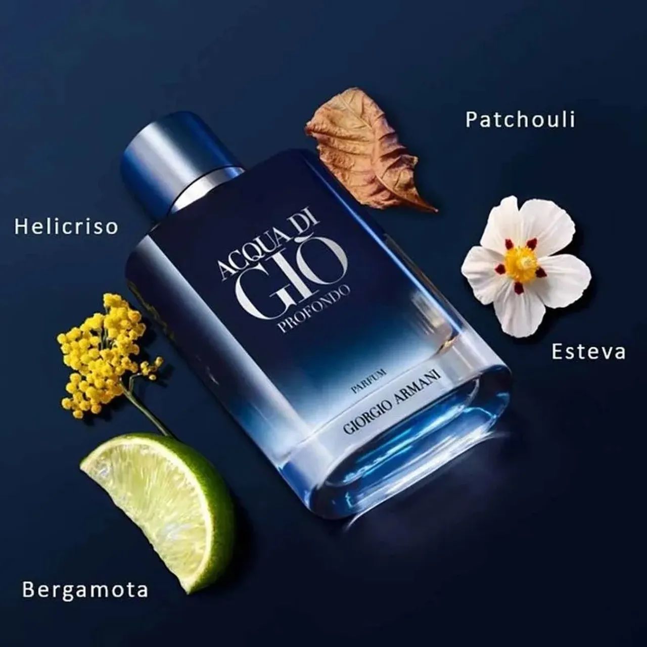 Perfume Aqua di Gio Profound Parfum 100ml - NF da Giorgio Armani  - Foto 2