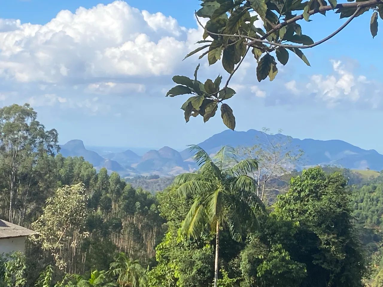 Vendo chácara em santa Teresa Es  - Foto 5