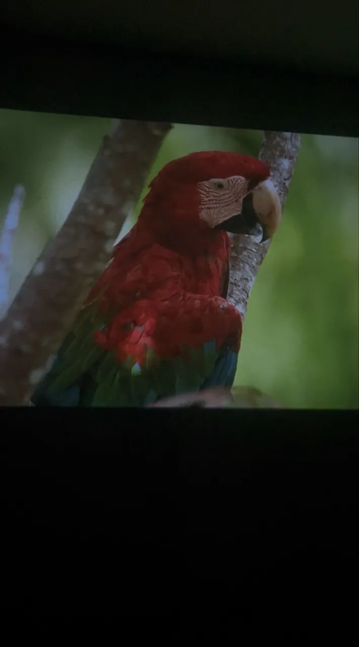 Projector HY320 Full HD - Foto 3