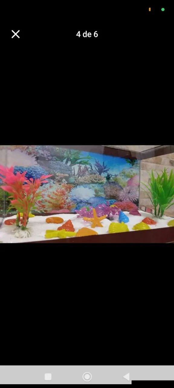 Aquário para peixes  - Foto 3