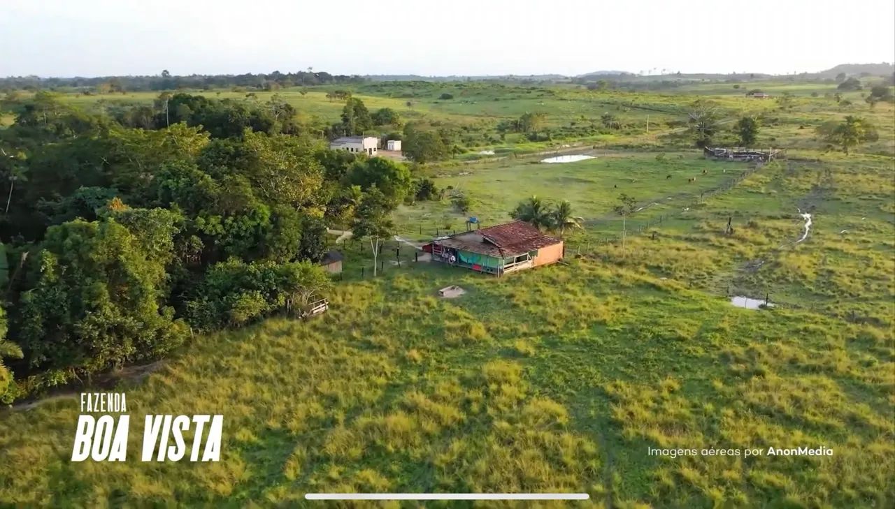 FAZENDA À VENDA - 44 ALQUEIRES - NOVA IPIXUNA - Foto 3