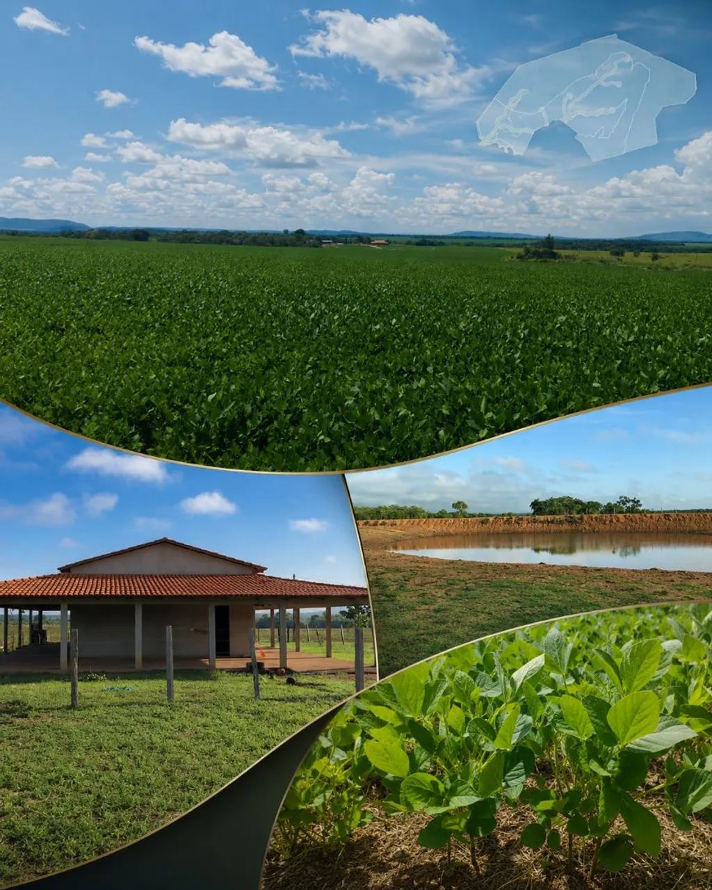 Fazenda a venda monte do Carmo Tocantins  - Foto 2