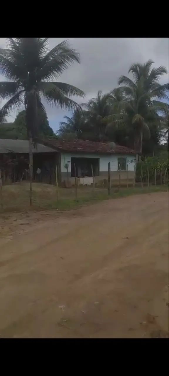 propriedade Rural - Foto 3