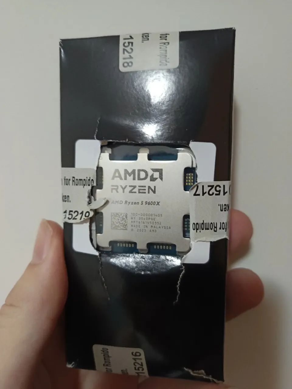 Ryzen 5 9600x, AMD AM5
