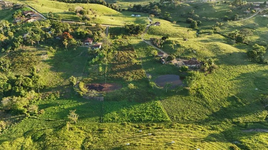 TERRENO NO SITIO 2,5 TAREFAS PROXIMO A CIDADE - Foto 5