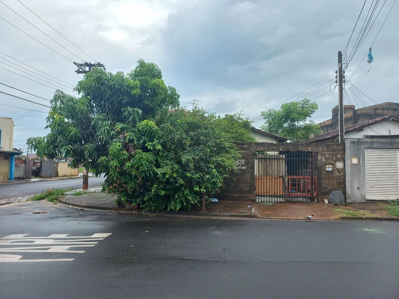 Foto - Ribeirão Preto - Conjunto Habitacional Jardim das Palmeiras