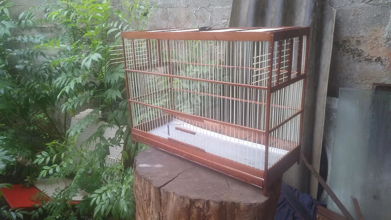Gaiolas - Foto 4