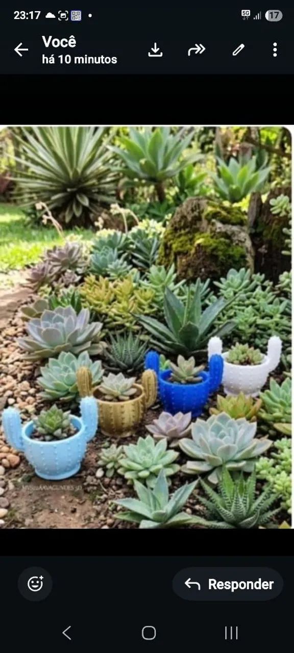 Vaso cacto em 3d - Foto 5