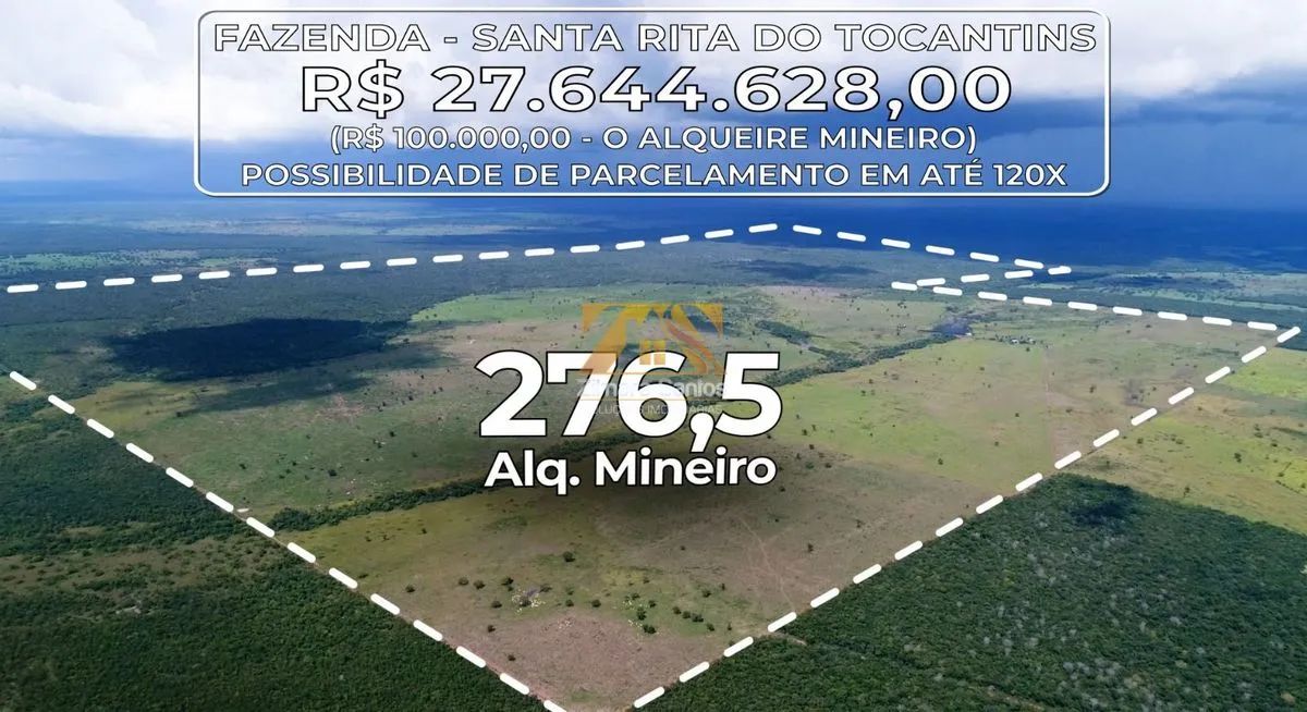 Fazenda, 276,5 alqueires - Zona Rural - Santa Rita/TO - Foto 3