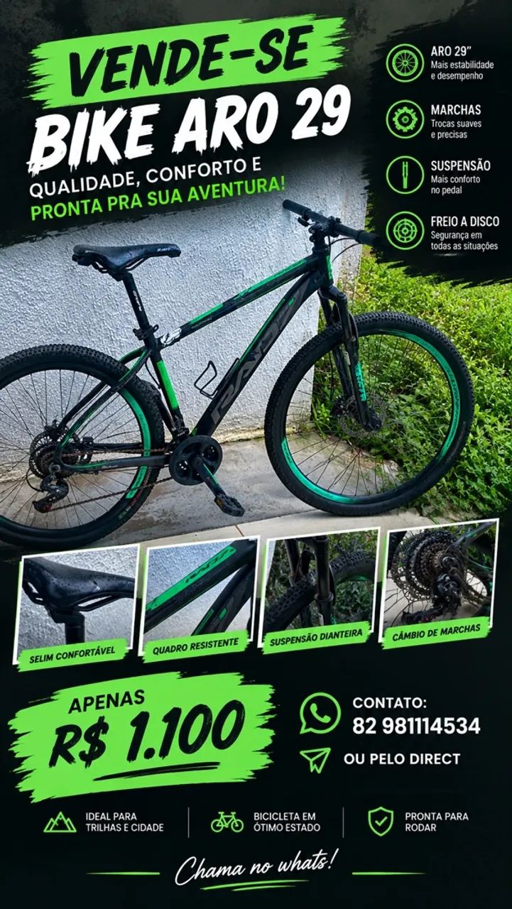 Bike Aro 29
