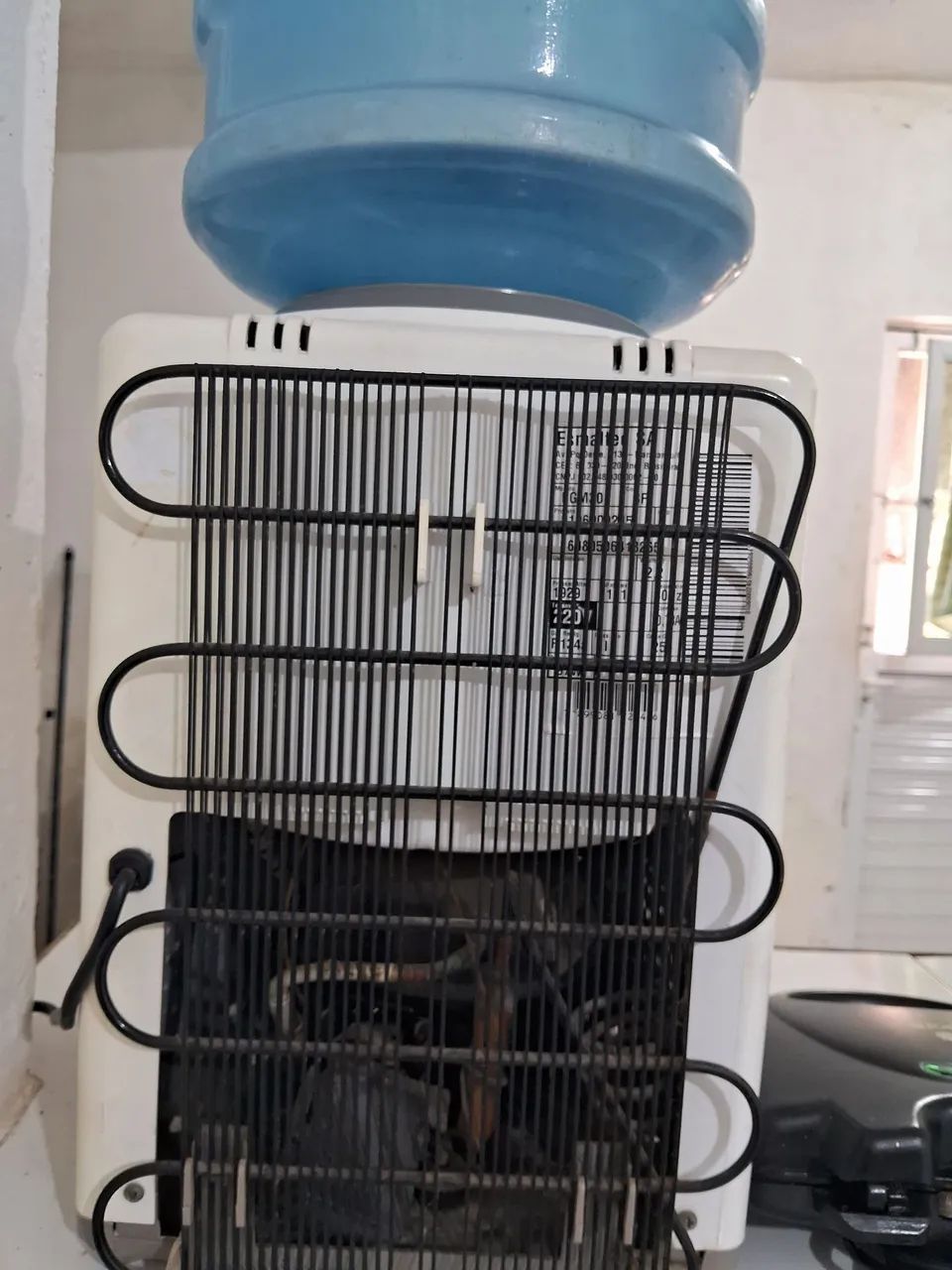 Gelagua  - Foto 2