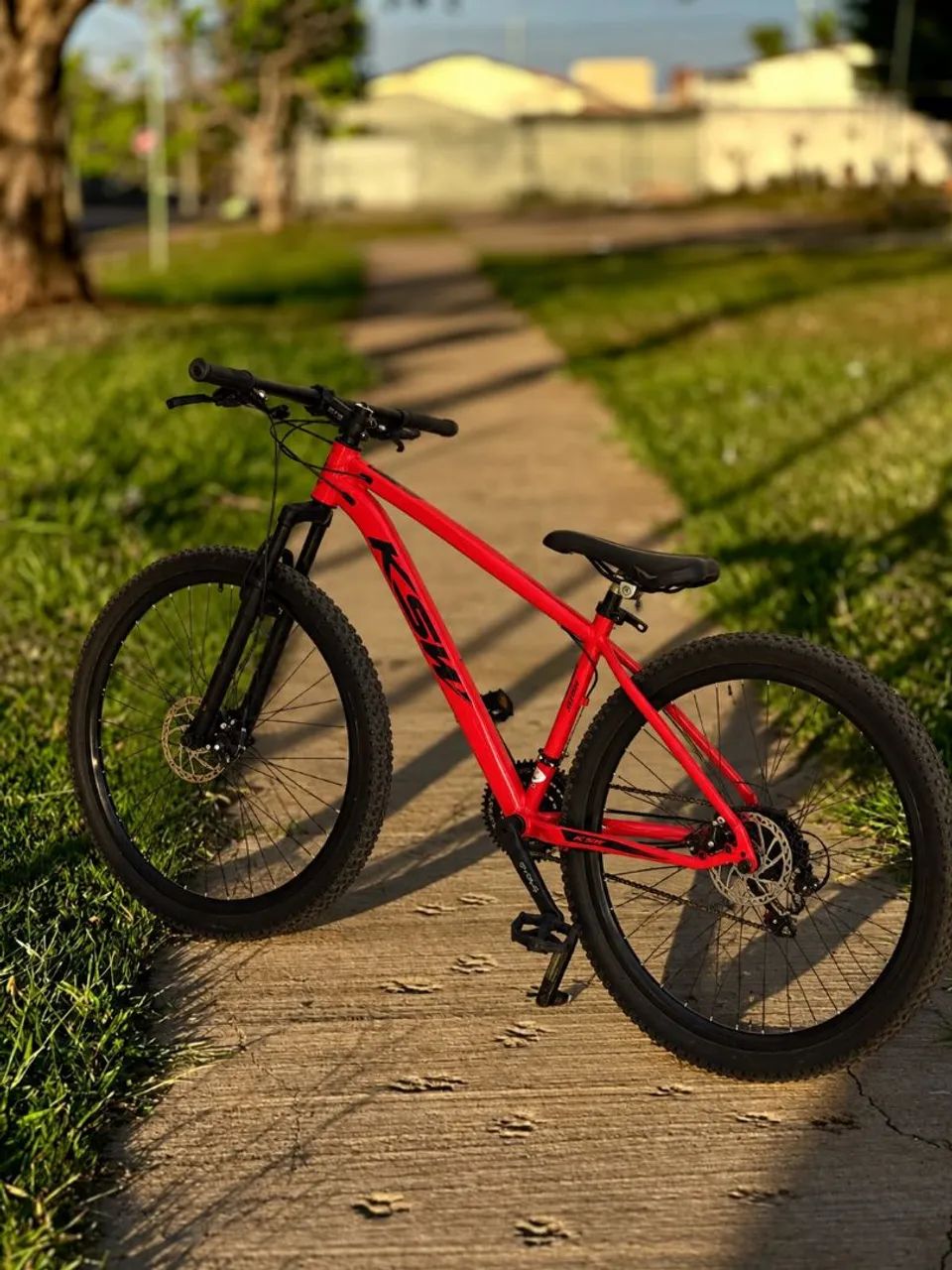 Bicicleta 