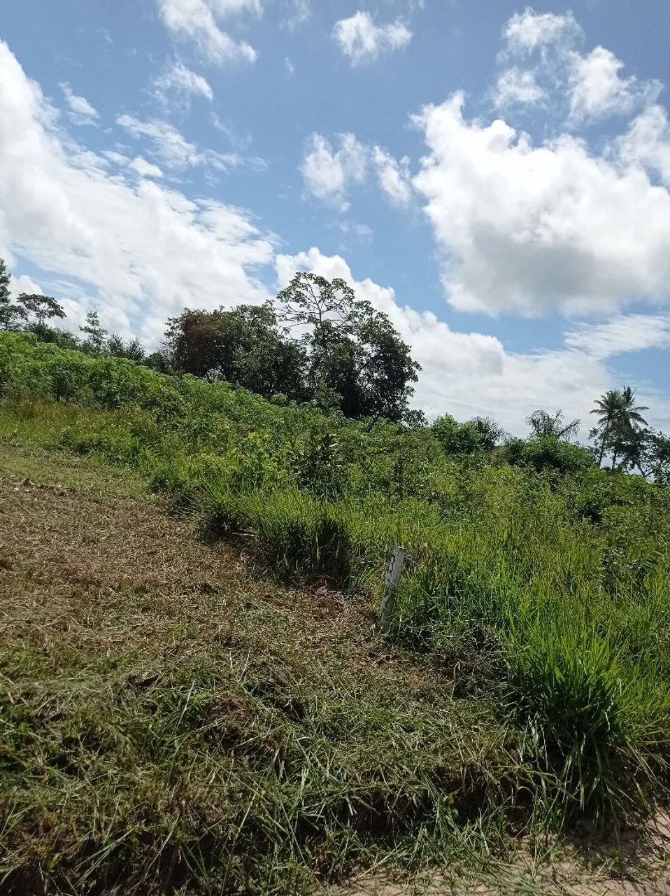 Terreno venda ou troca  - Foto 2