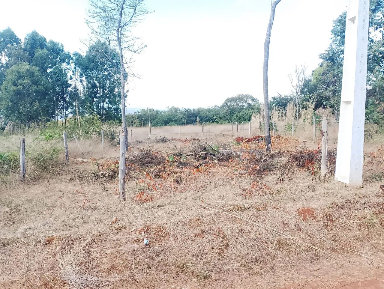 lote a venda - Foto 2