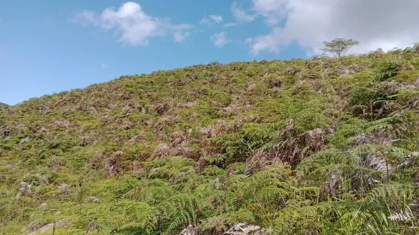 sítio em São Luiz do Paraitinga com renda fixa mensal.  - Foto 4