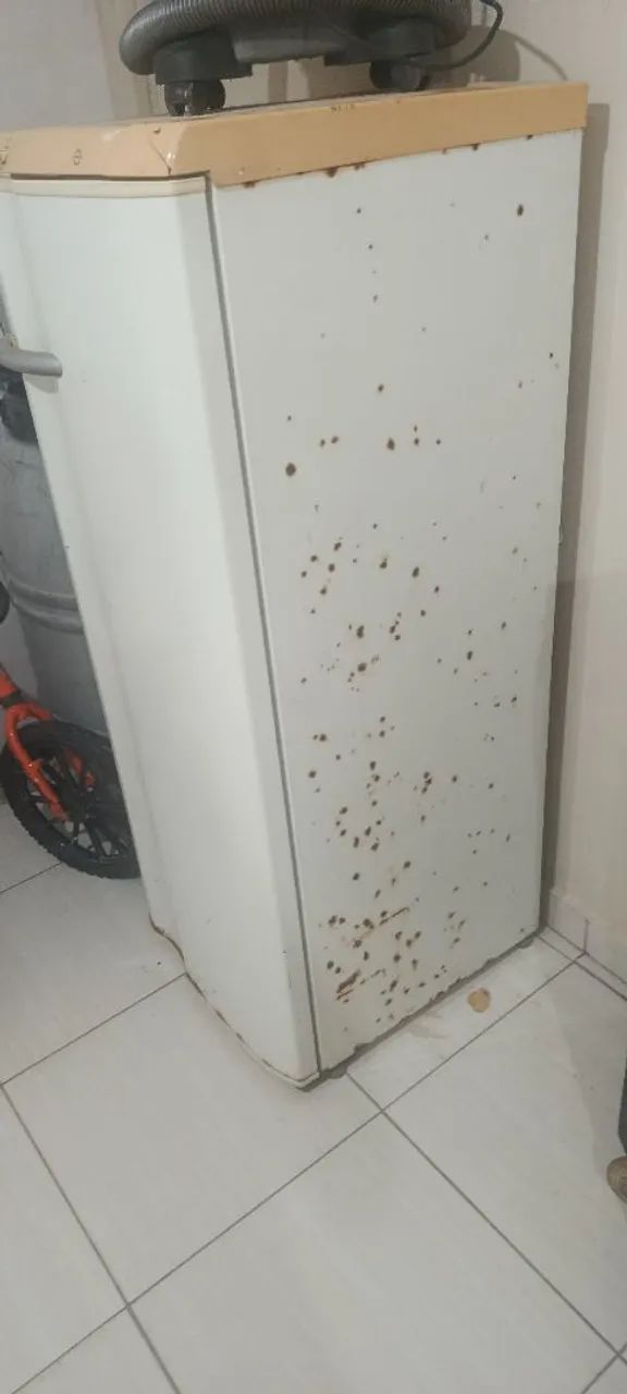 Geladeira - Foto 5