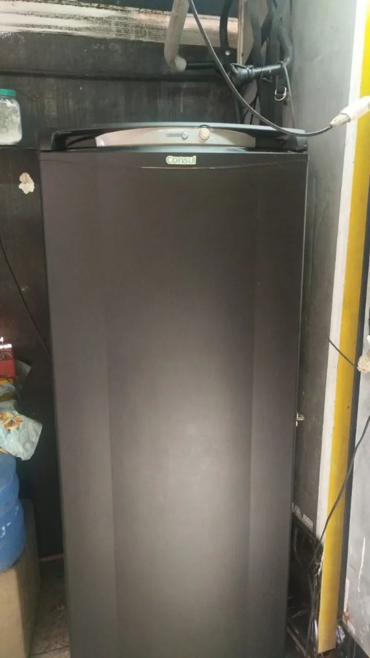 Freezer vertical consul