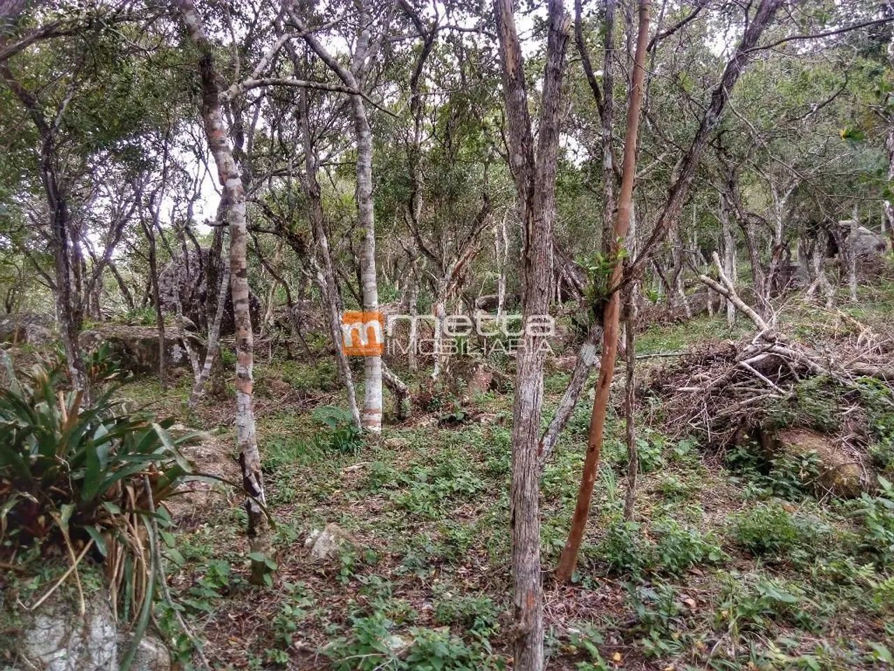 Terreno à venda, 2972 m² em Sambaqui - Florianópolis/SC - Foto 5