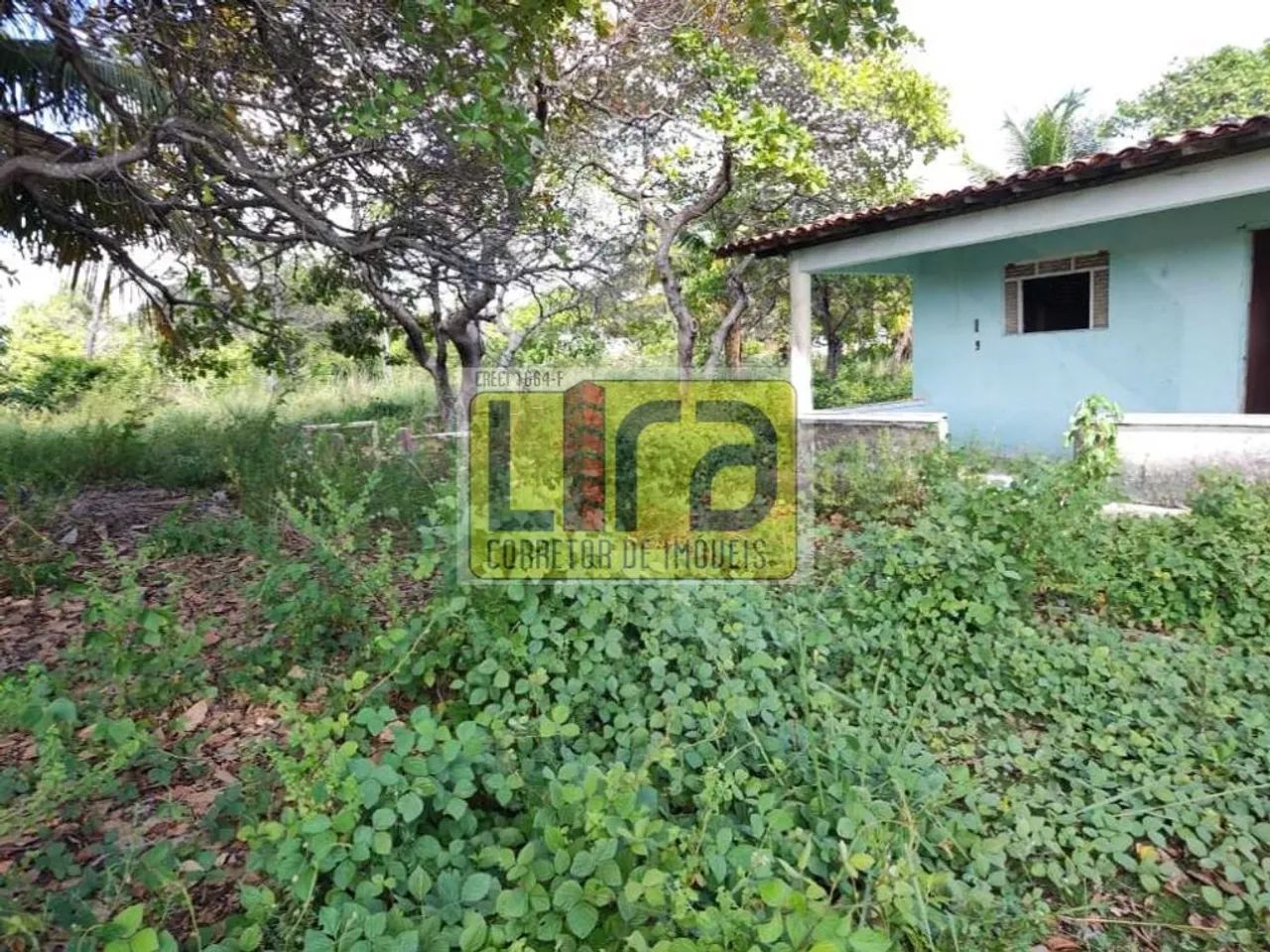 TERRENOS EM JACUMÃ, PERTO DA PB-008 - Foto 3