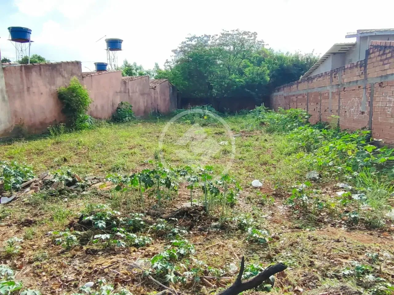 Lote Jardim Pompeia codigo: 364045