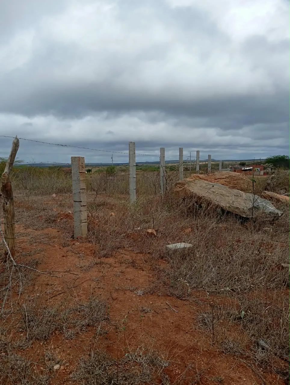 TERRENO DE 1 HECTARE À VENDA  - Foto 2