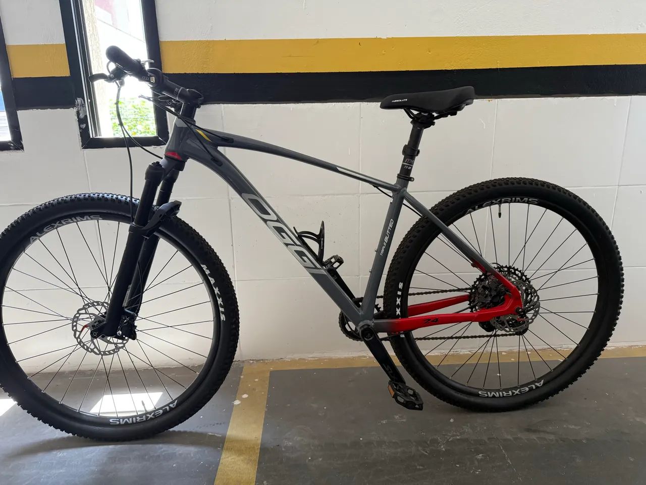 BIC OGGI 7.4 GRAF/VERM/CINZA L 2023 SLX - Foto 2