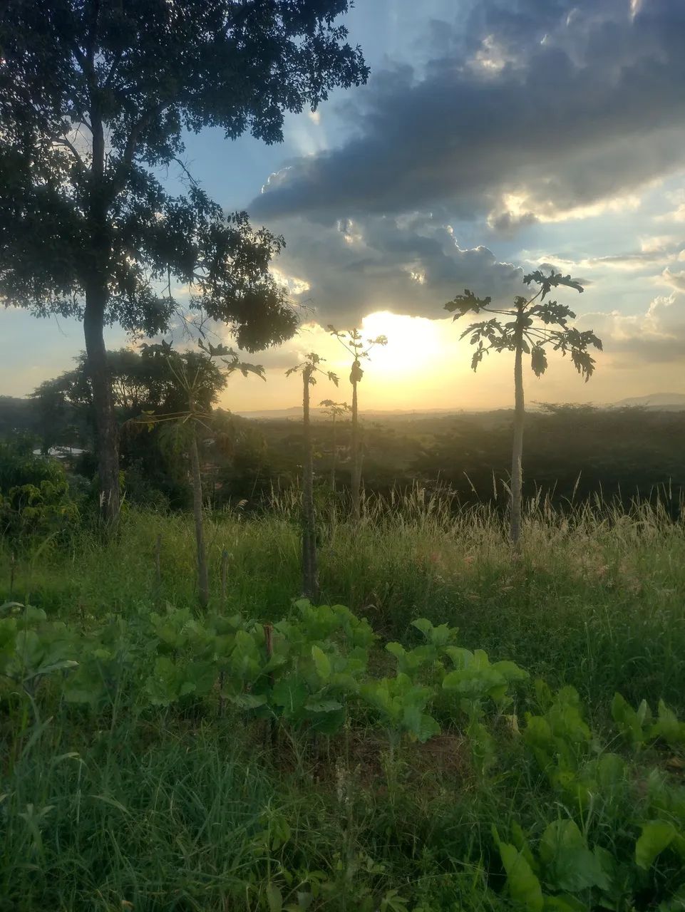 Vendo uma chácara em condomínio  - Foto 5