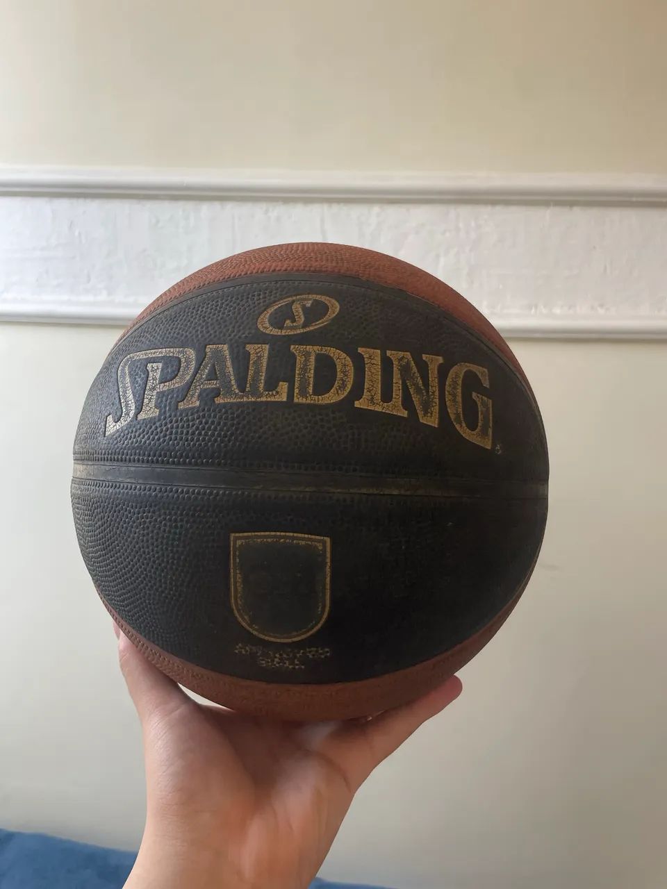 Bola de basquete 
