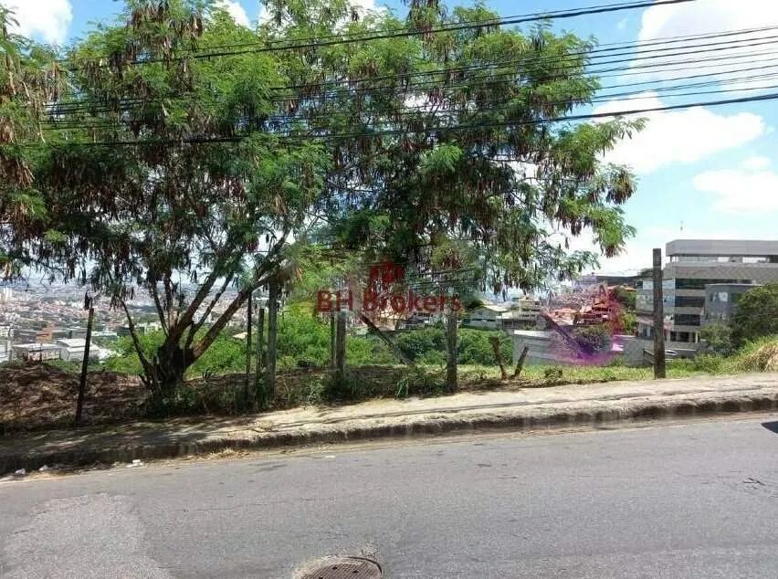 LOTE PARA LOCAÇÃO NO BAIRRO ESTORIL - Foto 4