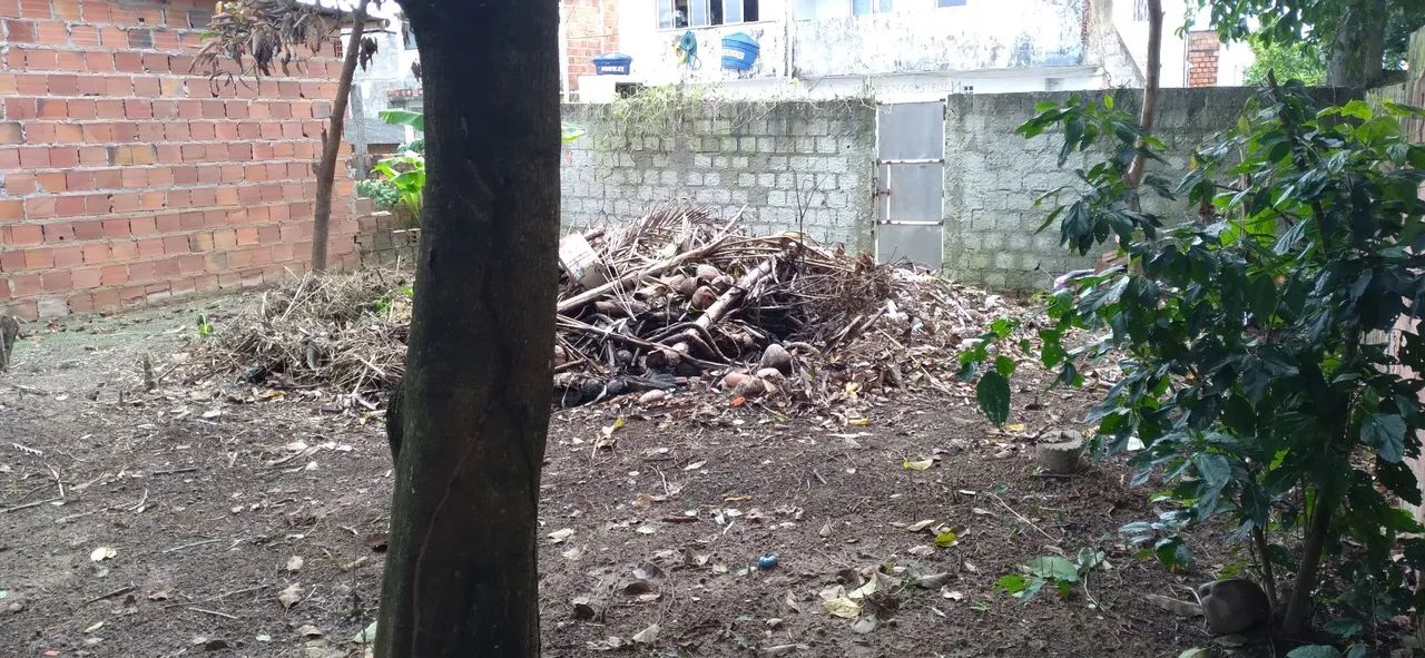 Terreno  - Foto 5