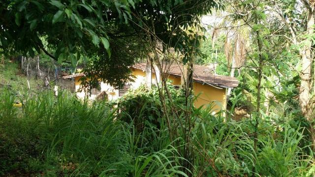 Propriedade de 4.9 hectares, em Vitória de Santo Antão-PE, com casa sede.Aceitam-se trocas - Foto 13