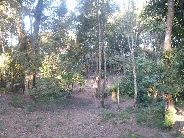 Chácara 20570 m² - Foto 10