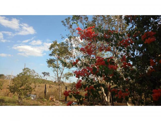 Chácara à venda em Eldorado, Cuiaba cod:22634 - Foto 7