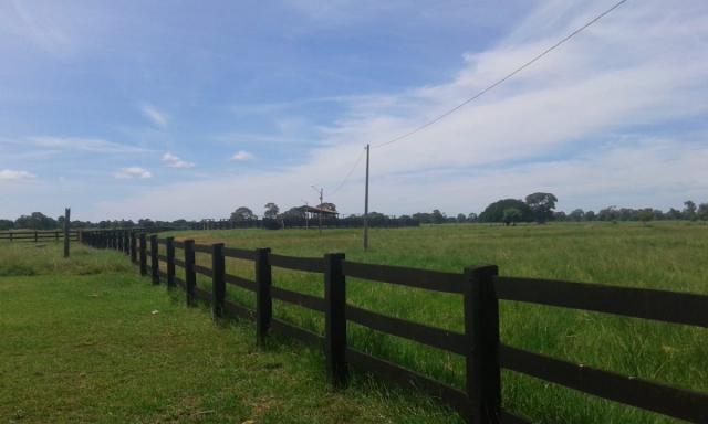 8271 | fazenda à venda em poconé mt - Foto 7