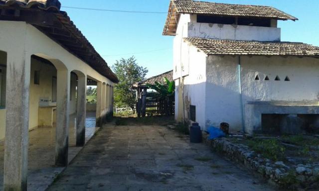 Fazenda para venda em nova viçosa, distrito de argolo - Foto 15