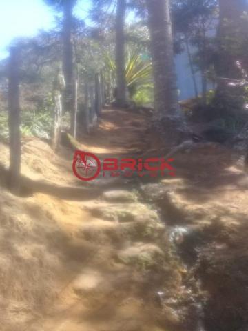 Sítio com área de 3 mil m² em santa rita. teresópolis- rj. - Foto 11