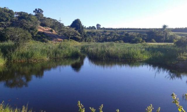 Fazenda para venda em nova viçosa, distrito de argolo - Foto 2