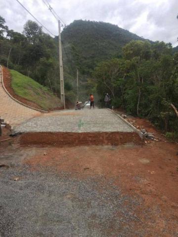 Terreno à venda, 740 m² por R$ 55.000 - Serrinha - Teresópolis/RJ - Foto 10
