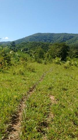Fazenda com 806 hectares na Agrovila das Palmeiras a 130 km de Cuiabá - Foto 2
