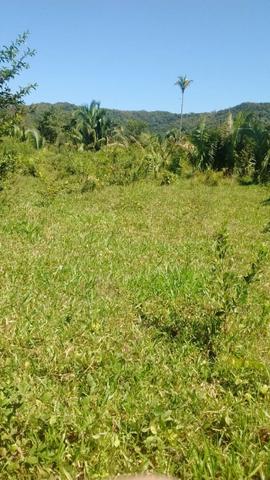 Fazenda com 806 hectares na Agrovila das Palmeiras a 130 km de Cuiabá - Foto 8