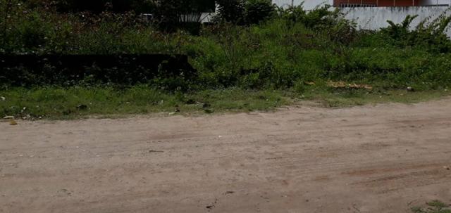 Lote em Maracaípe- Excelente metragem e localização!! Preço único!! - Foto 4