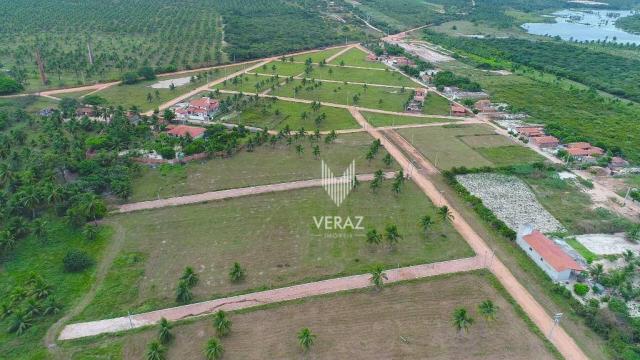 Terreno à venda, 300m² por r$ 22.000,00 - trairi - ceará - trairi/ce - Foto 8