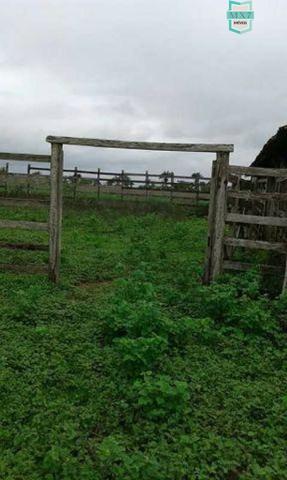 Ótima fazenda no Distrito de Serrolândia - Foto 3